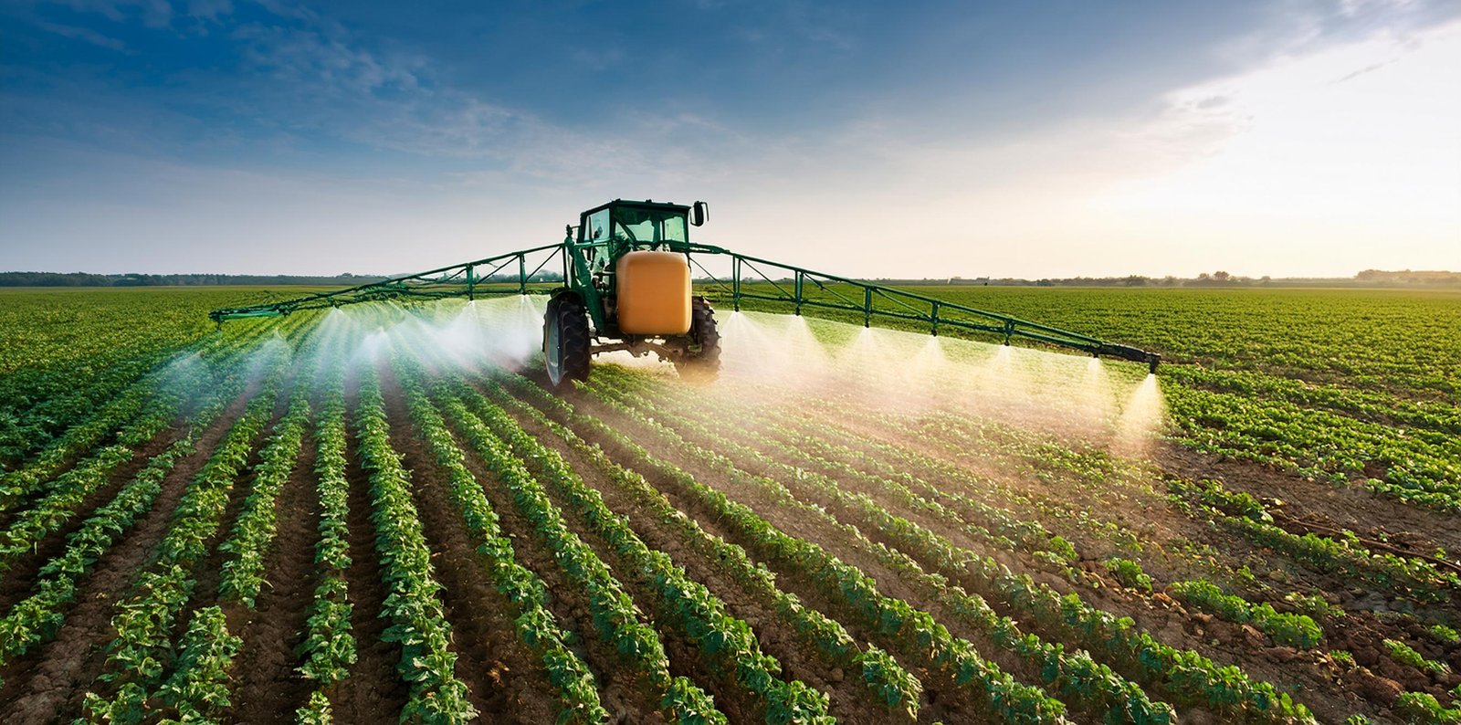 Innovators In Surfactant Technology